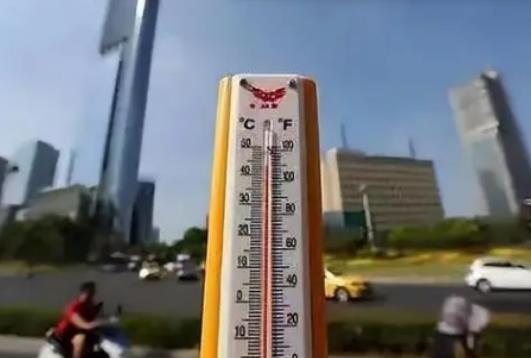 2024��ĸߜ��������m��ã��Ă������^��������