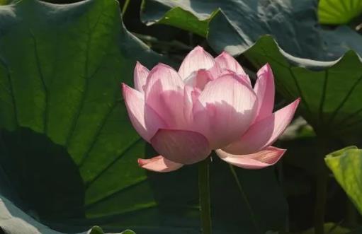 2024�����������߀��ȫ�궼�᣿�����ȴ���ô�k