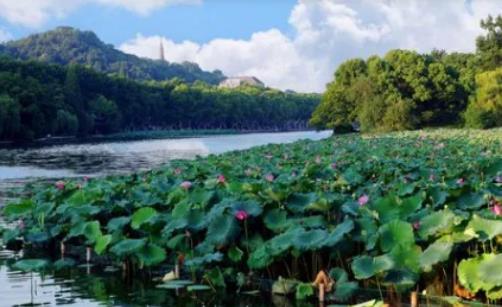 2024������ضȸ߲��ߣ���ʲôһ��������ˮ���؄e��