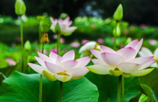 ���ĺ��Õ��᣿�������ĕr��ؕ����߆�