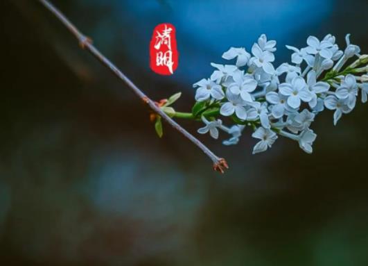 2024�������������؆᣿2024��������������܇