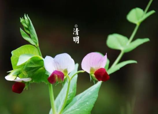 ���������һ����ٶȣ�2024�����������ω����