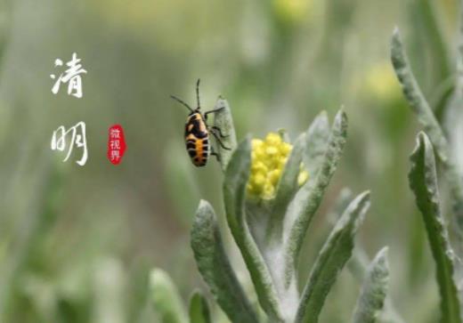 ��������ʲô�����F���������ͺ�ʳ����һ����