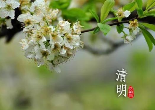 ���������ں�ʳ��ǰ߀���ں�ʳ������������ʲôʳ��