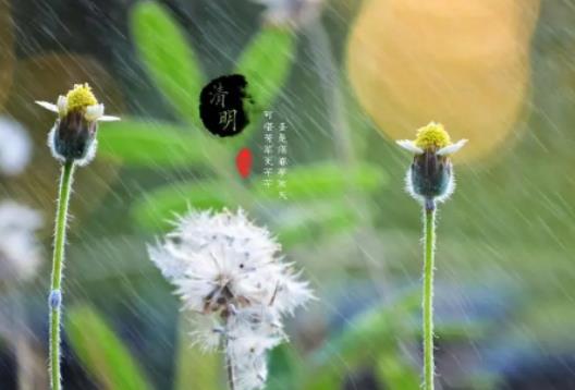 2024��������(ji��)�����ϼ���ô������2024��������(ji��)�������Ӻ�Ů��������