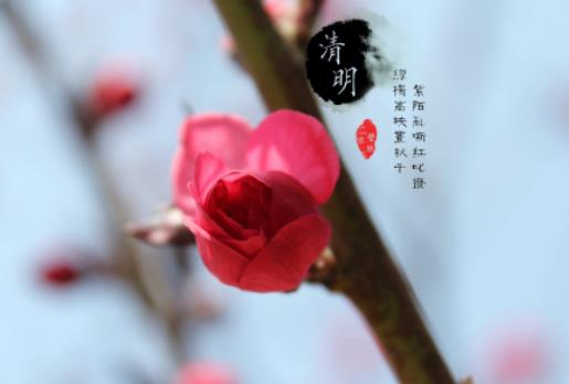 2024�������a������n��2024���������������