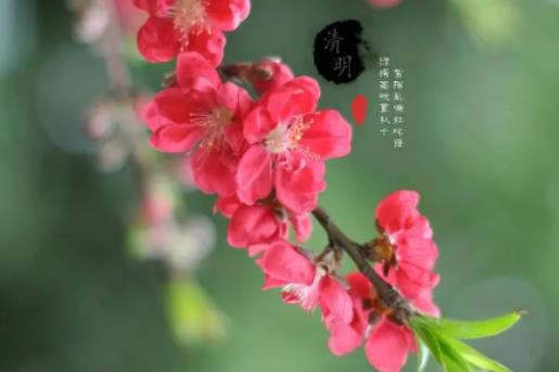 �Ϻ���ʿ���m���m��������(ji��)ȥ�棿�Ϻ�������(ji��)�����ô��