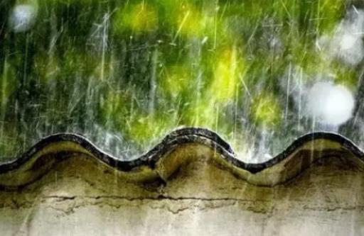 5�·�ȥ����ע��ʲô��2024�걱��5�·��������