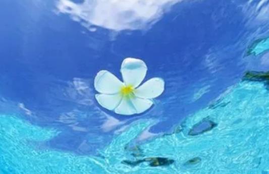 ���·ݵı���һ����ʲô��⣿����ɳ�m��ÿ��l(f��)���r(sh��)�g��ʲô�r(sh��)��