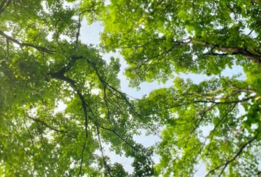 五月份的北京一般是什么天氣?北京沙塵暴每年發(fā)生時間是什么時候 五月份的北京一般是什么天氣?北京沙塵暴每年發(fā)生時間是什么時候