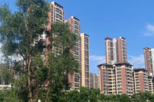 С�h�Ƿ����Ժ����ֵ�X����2025�I����߀��2024��