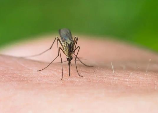 ��������Ч���ò��ã�������ڴ���߀�ǵذ�u��