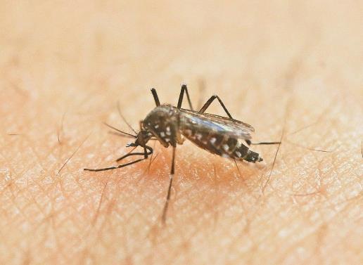 ����һ���c(di��n)�ɺ���Σ���᣿�c(di��n)����Ҫ�_(k��i)����