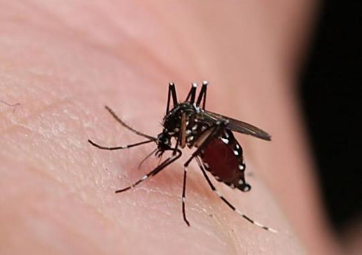 �c����������ɢζ�����㺬��0.08���ЋD�к���