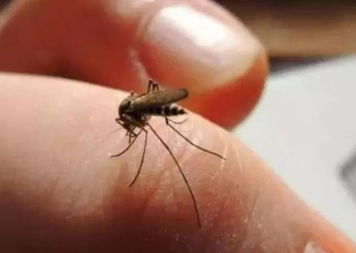 �������а�ɫ��ùϴ�������Æ᣿����lù���˕���ô��