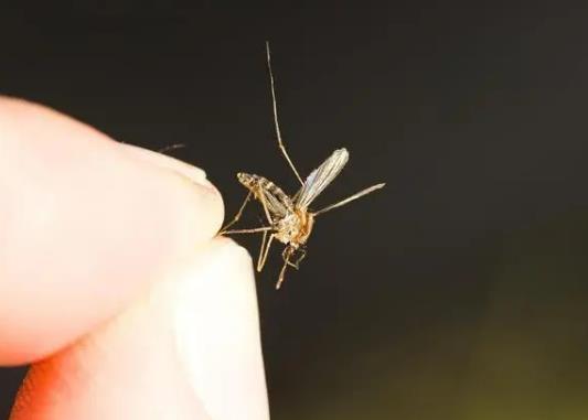 ���������а�ɫ���ǲ��ǰlù�ˣ�������ˮ���x�ľ��w����