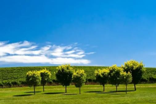 深圳夏天是幾月到幾月?2024年深圳一年中哪個月氣溫最高 深圳夏天是幾月到幾月?2024年深圳一年中哪個月氣溫最高