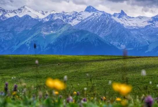 2024年5月份去新疆的南疆好還是北疆好?五月份新疆的氣溫大概是多少度 2024年5月份去新疆的南疆好還是北疆好?五月份新疆的氣溫大概是多少度