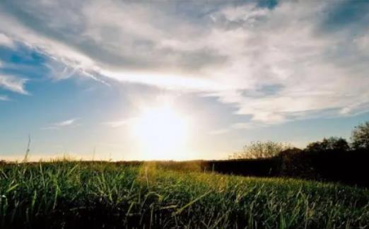 2024年五一過后東北多少度?2024年五一過后東北是冷是熱 2024年五一過后東北多少度?2024年五一過后東北是冷是熱