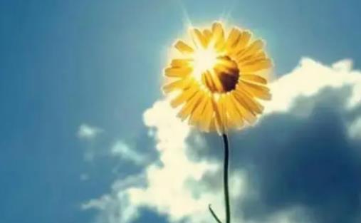 ��һ�^���ǲ������죿��һǰ���m���m��ȥ�|����