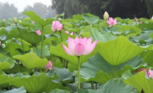 ���������ǎ��µ����£������ļ��ߜ��������m���