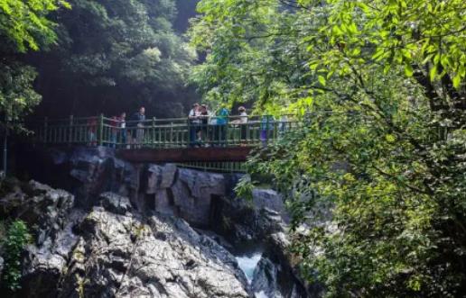 ���갲��÷�꼾����ʲô�r�򣿰��ս���÷�꼾ʲô�r���÷