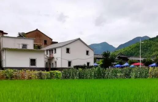 2024���Ͼ�������һ���Ƕ��ٶ����Ͼ�2024��ʲô�r������