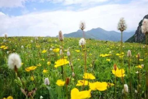 5月份適不適合去南京玩?5月份去南京適合哪些景區玩 5月份適不適合去南京玩?5月份去南京適合哪些景區玩