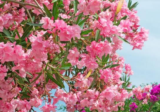 ��h�ѻ����ڵ�ʲô�r��Y������h�꼾�����ڎ��·�