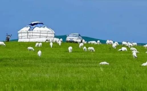 2024年內蒙古五月份草原有草了嗎?2024年內蒙古5月份入夏了嗎 2024年內蒙古五月份草原有草了嗎?2024年內蒙古5月份入夏了嗎