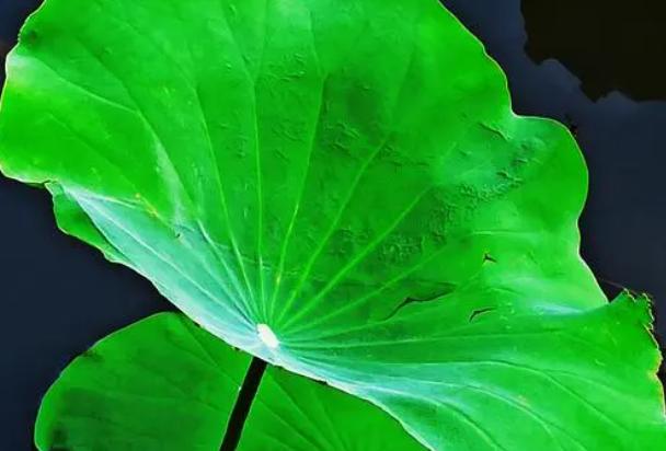 ���~�Ǻ��Ե��� ���~�ğ����Ƕ���