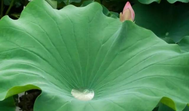 ���~�Ǻ��Ե��� ���~�ğ����Ƕ���