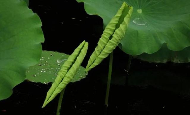 ���~�Ǻ��Ե��� ���~�ğ����Ƕ���