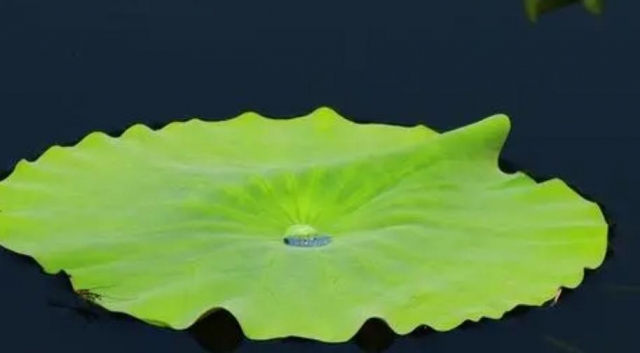 ���~�ĠI�B�rֵ ���~�Ĺ�Ч�c����