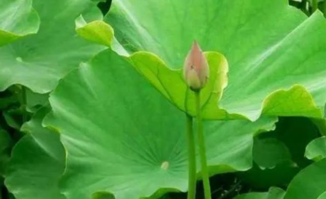 ���~��ô�Ȳ��ܜp�� ���r���~��ô�����