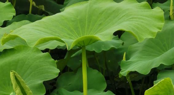 ���~��ô�Ȳ��ܜp�� ���r���~��ô�����