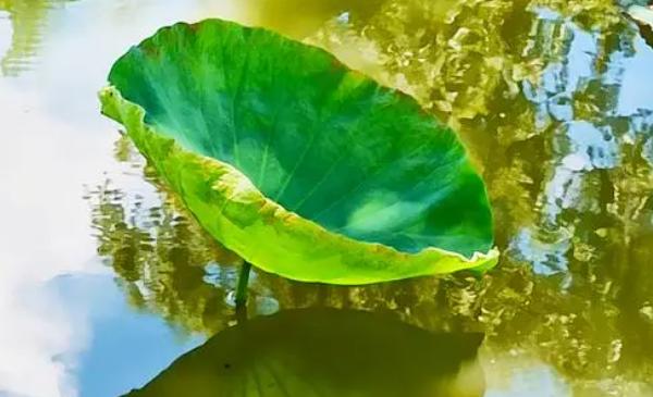 �Ժ��~��ע����� ���~���ܺ�ʲôһ���