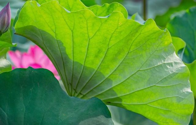 ���~��ˮ����ʲô����Ҫ֪�� ���~���Ǜ��ԵĆ�