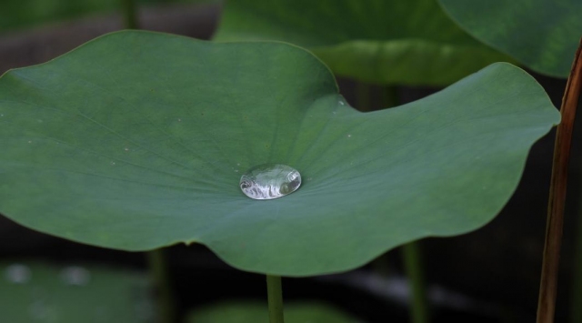 ���~��ˮ����ʲô����Ҫ֪�� ���~���Ǜ��ԵĆ�