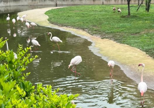 ��hҰ�����������д���؈������hҰ�������������Ԏ����}����