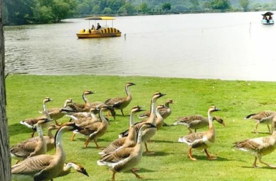 ��hҰ�����������д���؈�᣿��hҰ�������������Ԏ����}����