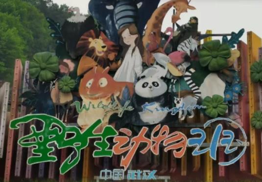 武漢野生動物王國值得去嗎?武漢野生動物王國幾點開門幾點關門 武漢野生動物王國值得去嗎?武漢野生動物王國幾點開門幾點關門