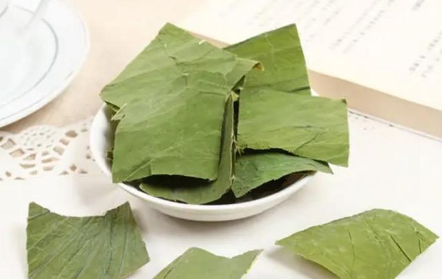 荷葉茶越喝濕氣越重嗎 荷葉茶能去濕氣嗎 荷葉茶越喝濕氣越重嗎 荷葉茶能去濕氣嗎