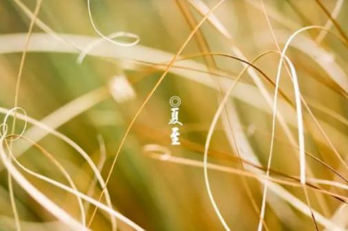 2024����������ˮ��(hu��)������2024������֮������(hu��)�����