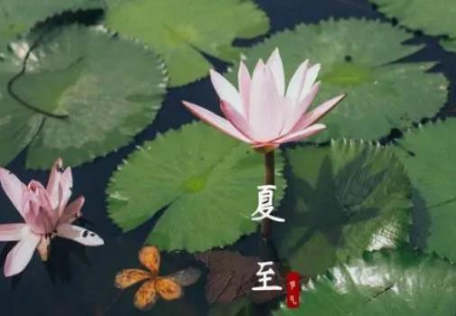 2024����������ˮ��������2024������֮�����������