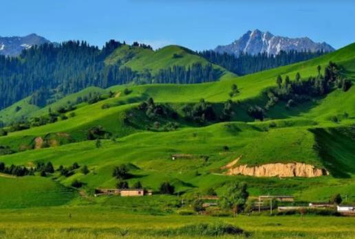 �½�6�³����δ�ʲô�·���6�·�ȥ�½�������Ѿ�·