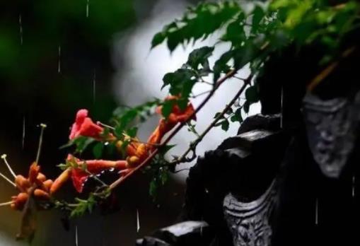 2024年上海6月份氣溫多少度?2024年上海6月份是不是梅雨季 2024年上海6月份氣溫多少度?2024年上海6月份是不是梅雨季