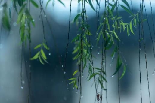 �Ϻ�÷�꼾��(ji��)���m(x��)��ã��Ϻ�2024��ʲô�r(sh��)���÷