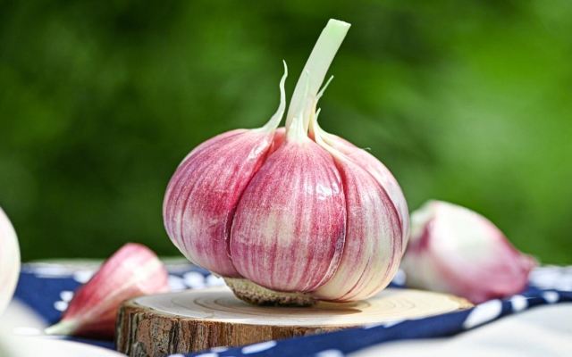 吃荔枝可以降血糖嗎 降血糖吃什么好 吃荔枝可以降血糖嗎 降血糖吃什么好