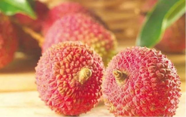 ����֦�ĺ�̎ ����֦��ע�����(xi��ng)